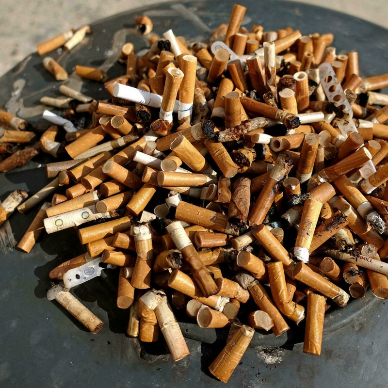 Thuốc lá hủy hoại môi trường sống ra sao? 2