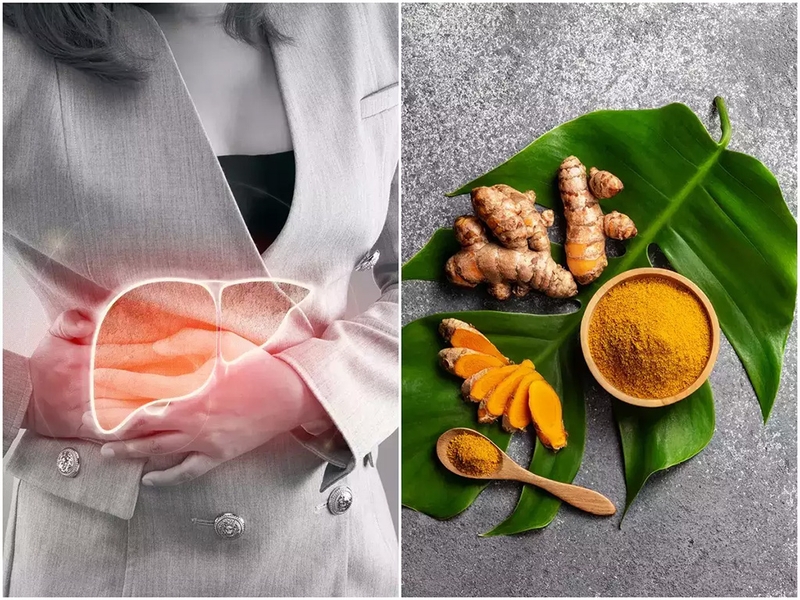 Thuốc nam trị gan nhiễm mỡ - Giải pháp từ thiên nhiên 3