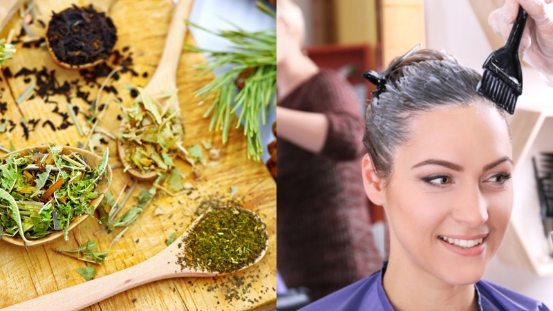 Thuốc nhuộm tóc thảo dược là dòng sản phẩm tạo màu được chiết xuất từ thảo dược