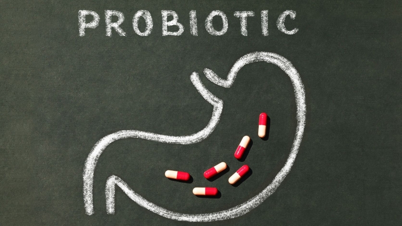 Men vi sinh (probiotic) chứa các vi sinh vật có lợi và có thể hỗ trợ cân bằng hệ vi sinh đường ruột