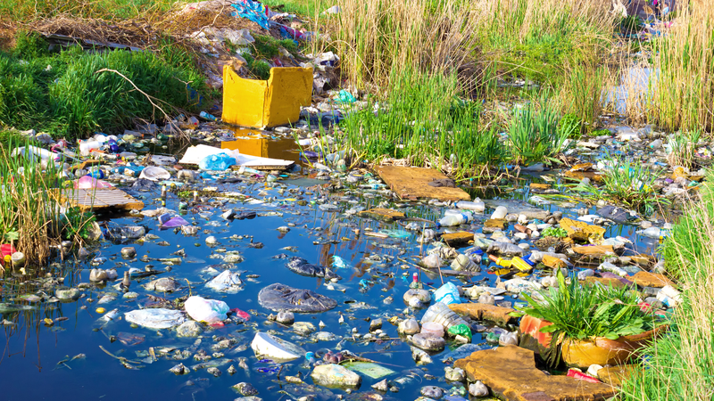 Thuốc trị ghẻ nước nào an toàn và hiệu quả? 2