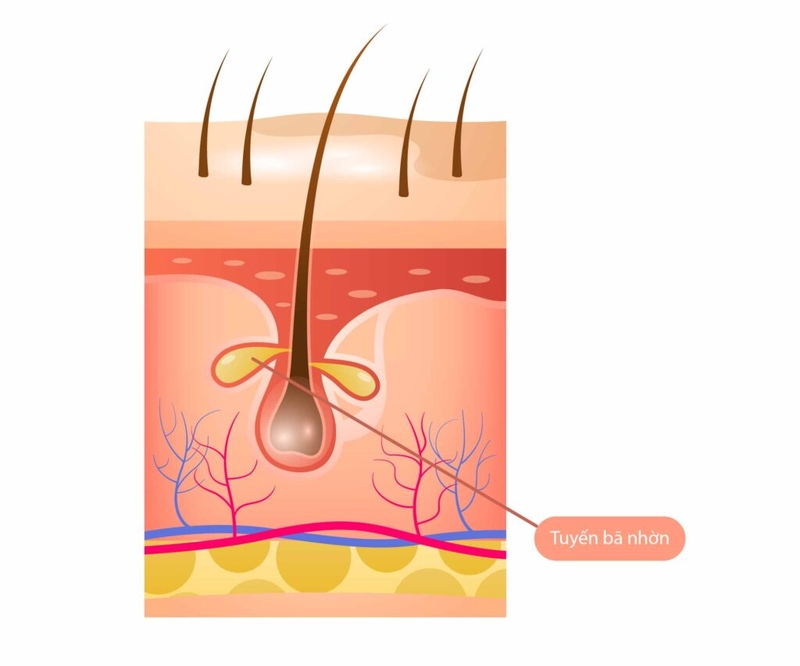 Thuốc trị mụn đầu đen an toàn và hiệu quả bạn nên biết 3