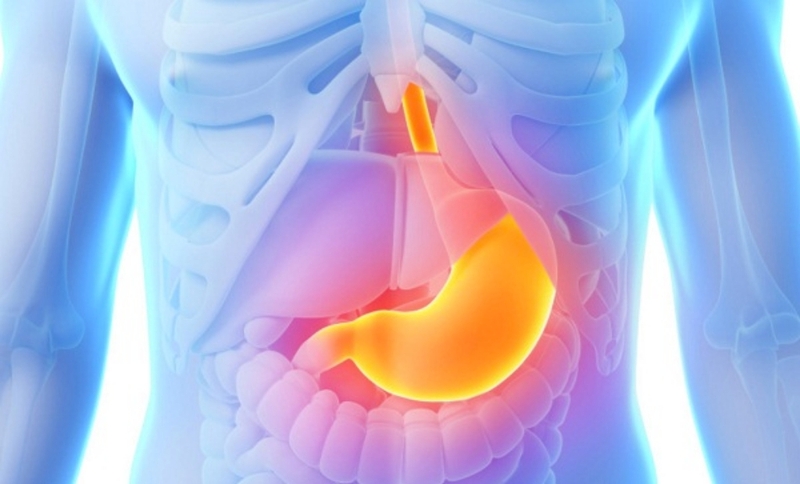 Thuốc ức chế bơm Proton là loại thuốc có tác dụng gì? Cách sử dụng và những điều cần lưu ý 1