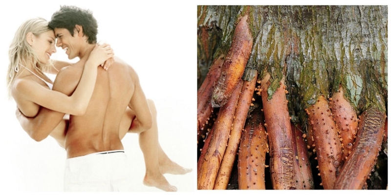 Các bài thuốc yếu sinh lý được nhiều bệnh nhân tin dùng 3