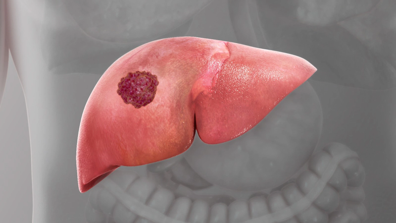 Thương lục: Đừng nên nhầm lẫn với Nhân sâm5