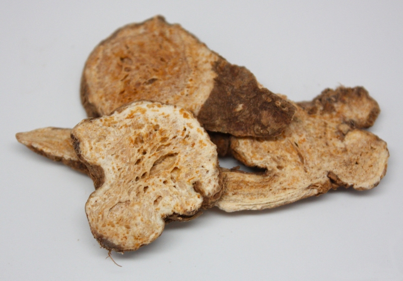 Thương truật có tác dụng gì với sức khỏe con người? 3