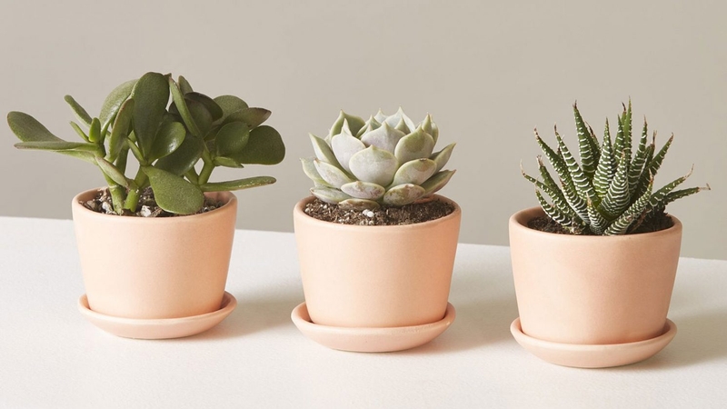 Thường xuyên ngồi máy tính nhiều có bị vô sinh không? 3