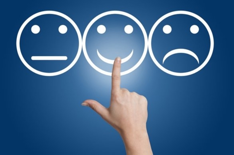 Thùy đảo là gì? Cấu trúc và chức năng của thùy đảo đối với con người 3