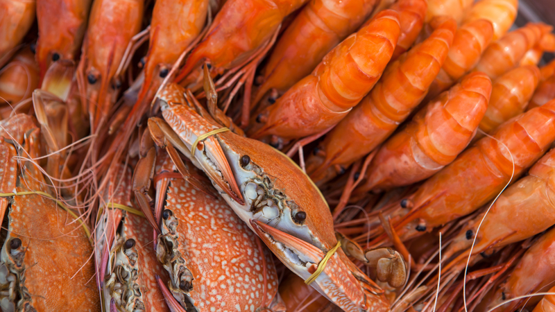 Một số người còn xuất hiện cảm giác ngứa nhiều hơn sau khi ăn hải sản