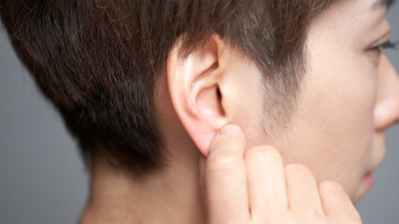 Thùy tai không chứa sụn và không tham gia dẫn truyền âm thanh