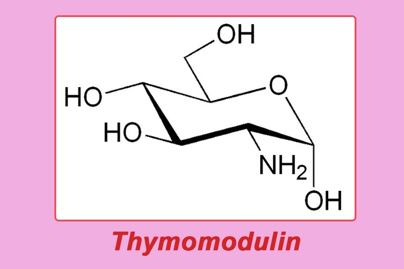 Thymos là thuốc gì? Công dụng, liều dùng và một số lưu ý khi gì thuốc 1