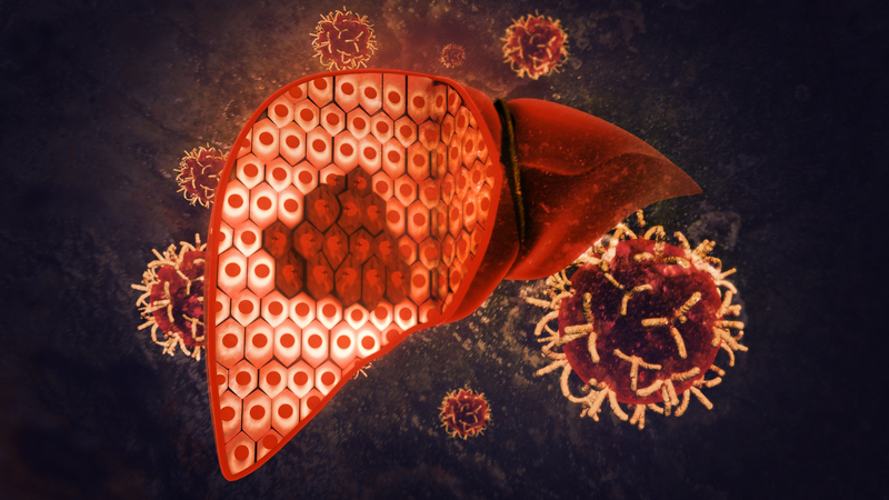 Tía tô kỵ với gì? Những lưu ý quan trọng khi ăn tía tô 2