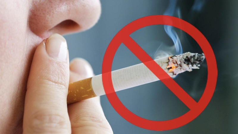 tiem-huyet-tuong-giau-tieu-cau-nhieu-co-tot-khong 6