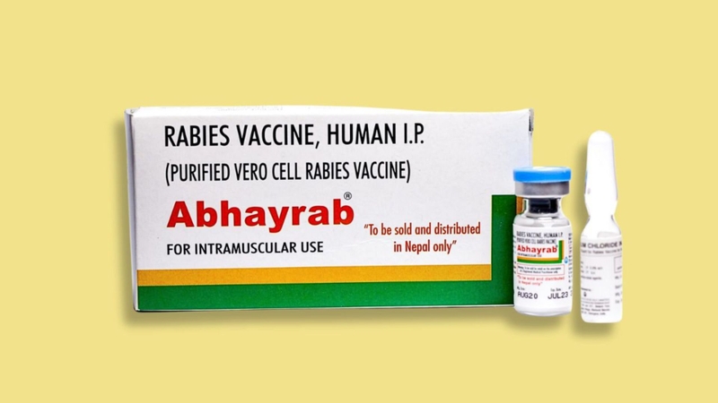 Tiêm ngừa chó cắn ở đâu Cần Thơ? 3