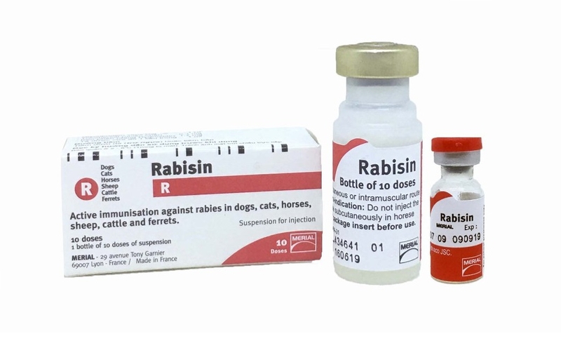 tiêm phòng dại cho chó có tác dụng bao lâu 2