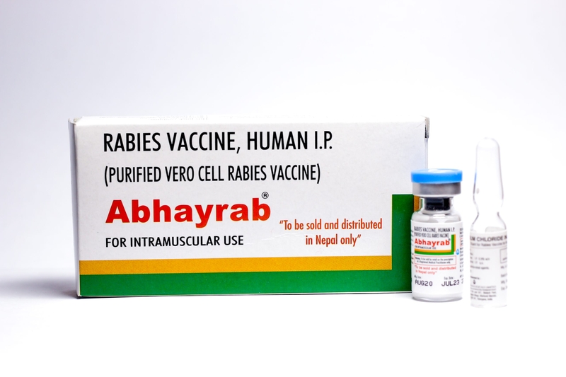 Tiêm phòng dại có ảnh hưởng đến sinh sản không? 3