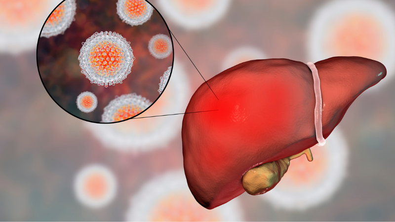 tiem-phong-viem-gan-b-o-dau-an-toan-va-hieu-qua 3