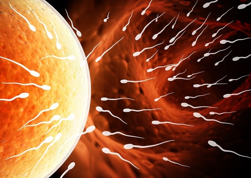 Tiêm thuốc rụng trứng sau bao lâu thì thử que cho kết quả chính xác? 1