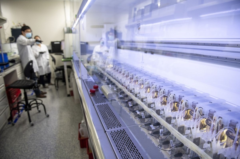 Tiêm vắc xin dại có ảnh hưởng đến trí nhớ không? 2