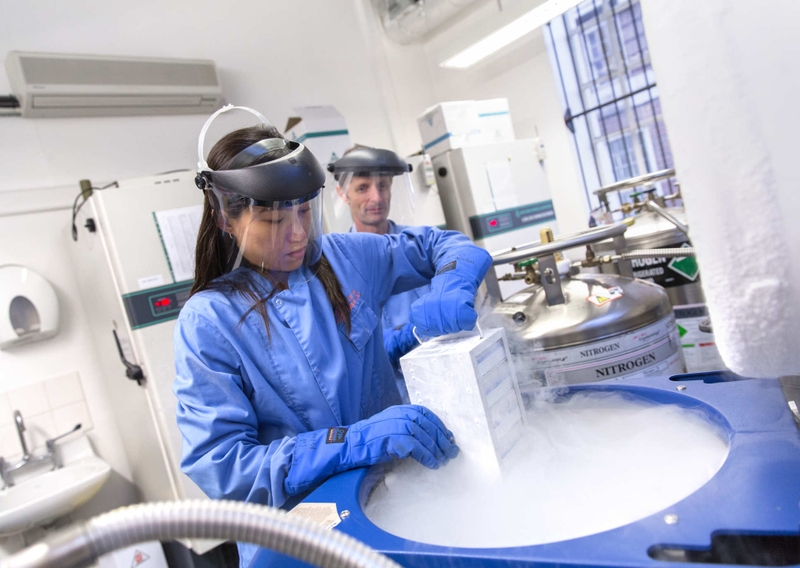 Tiêm vắc xin dại có ảnh hưởng đến trí nhớ không? 3