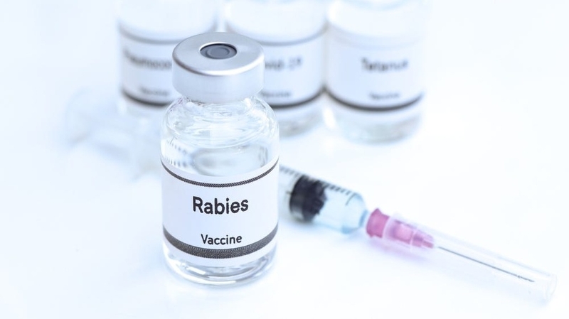 Tiêm vắc xin dại có được uống rượu bia không? Lời khuyên từ chuyên gia 1