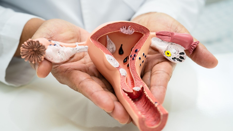 Tiêm vắc xin Gardasil ở đâu tại Quận Cầu Giấy 3