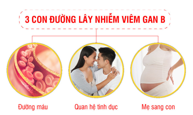 Tiêm vacxin viêm gan B có bị lây nữa không? 3