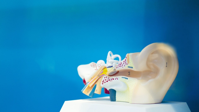 “Tiền đình là gì?” vẫn là một khái niệm còn khá xa lạ với không ít người