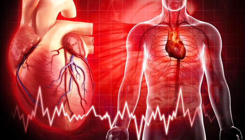 Tiếng thổi tâm thu: Nguyên nhân, triệu chứng, cách điều trị 1