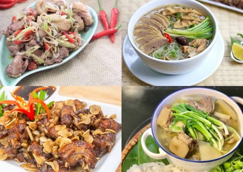 Tiết lộ sự thật xăm môi có được ăn thịt ngan không? Xăm môi không được ăn thịt gì?1