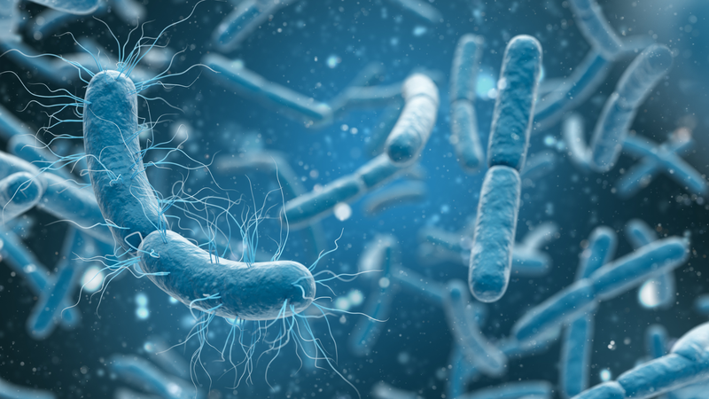 Tiêu chảy có thể liên quan đến việc nhiễm vi khuẩn C. difficile