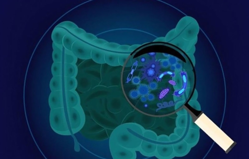 Tiêu chảy nhiễm trùng: Triệu chứng, cách phòng ngừa bệnh 1