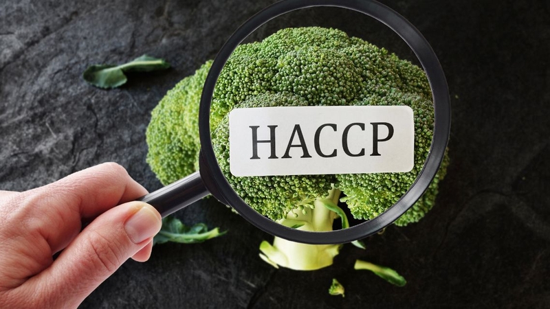 Áp dụng HACCP góp phần giảm nguy cơ ngộ độc thực phẩm và bảo vệ sức khỏe người tiêu dùng