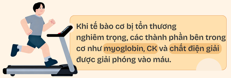 tieu-co-van-sau-tap-gym-vi-sao-xay-ra-va-cach-phong-ngua-6.png