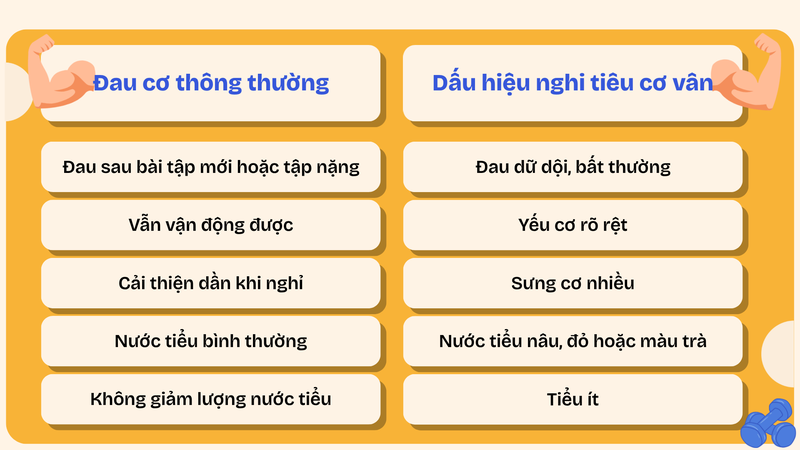 tieu-co-van-sau-tap-gym-vi-sao-xay-ra-va-cach-phong-ngua-7.png