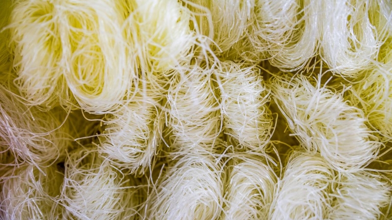 Tiểu đường có ăn được miến đậu xanh không? Cách ăn giúp kiểm soát đường huyết 1