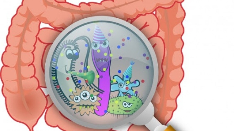 Tiêu hóa kém, có nên bổ sung enzyme cho trẻ? Những điều cần lưu ý khi bổ sung enzyme tiêu hóa 2