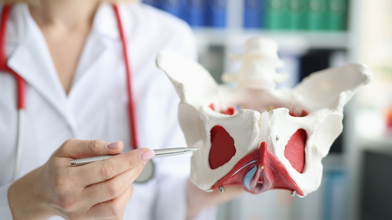 Cơ sàn chậu suy yếu là một nguyên nhân gây tiểu không tự chủ sau quan hệ tình dục