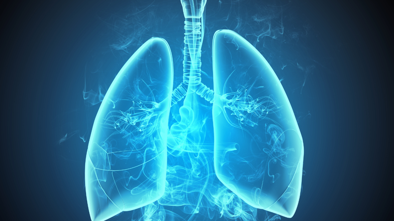 Tiểu phế quản là gì? Vai trò trong hệ hô hấp 3