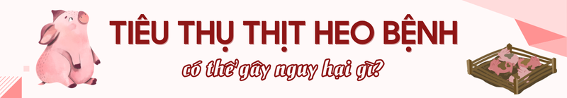 Tiêu thụ thịt heo bệnh có thể gây nguy hại gì?