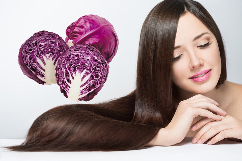 Tìm hiểu ăn bắp cải tím có tốt không?