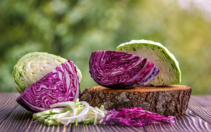 Tìm hiểu ăn bắp cải tím có tốt không?
