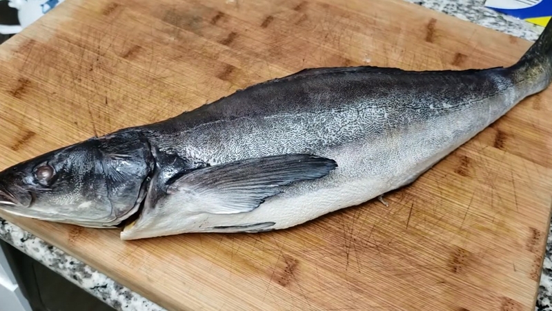 Cá bớp là một nguồn dinh dưỡng vô cùng phong phú