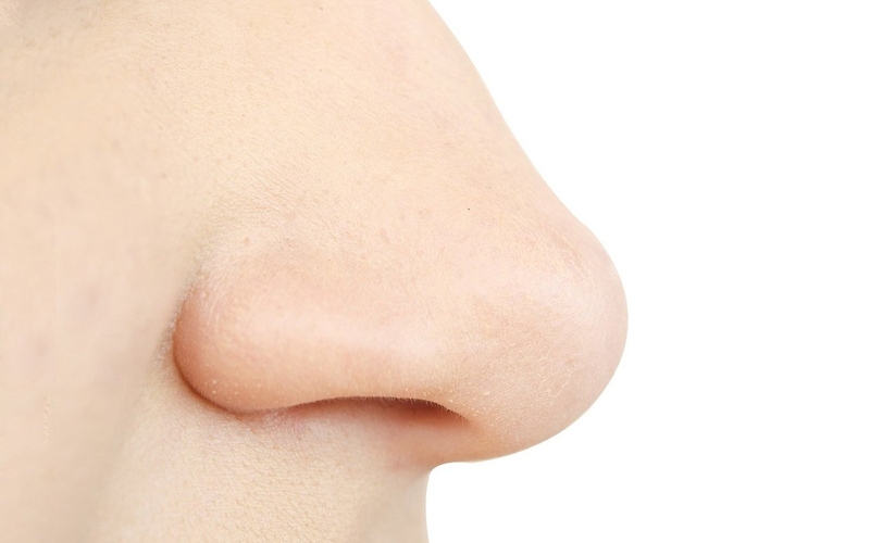 tim-hieu-cac-benh-ve-mui-pho-bien-nhat-hien-nay 2.jpg