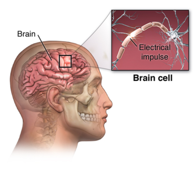 Tìm hiểu các cách chữa bệnh động kinh khoa học 2