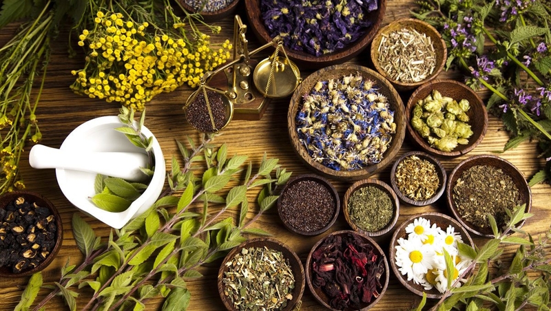 Sử dụng thảo dược&nbsp;để hỗ trợ điều trị bệnh đại tràng