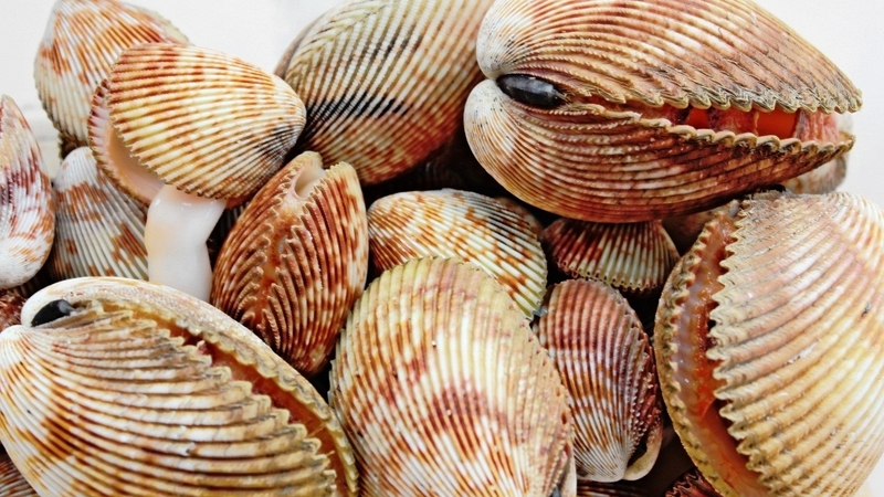 tim-hieu-cac-loai-so-bien-tu-dinh-duong-den-cong-dung-y-hoc 2