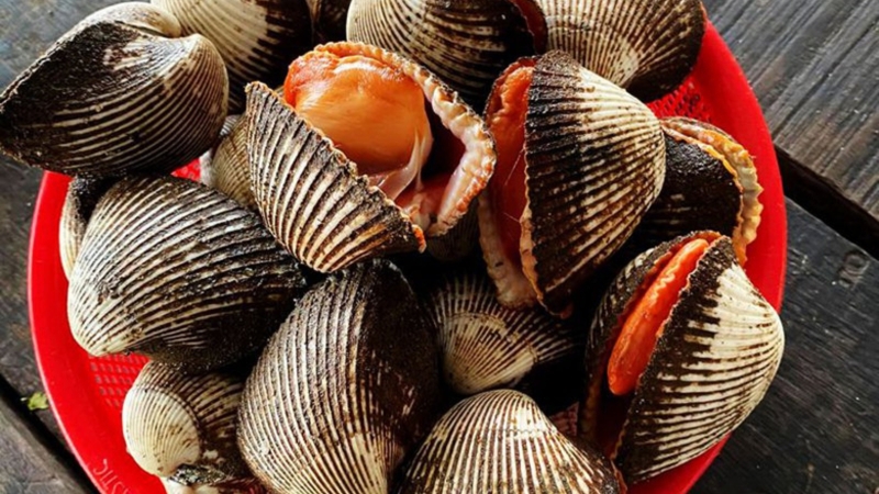 tim-hieu-cac-loai-so-bien-tu-dinh-duong-den-cong-dung-y-hoc 1