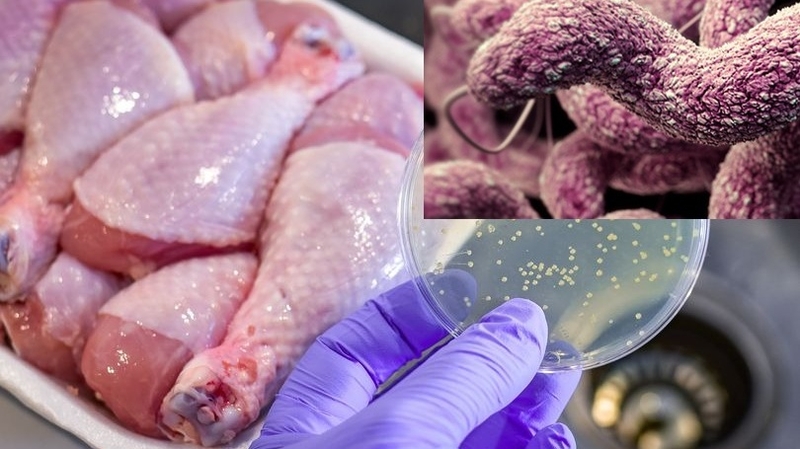 Tìm hiểu cách dự phòng bệnh thương hàn bảo vệ sức khoẻ 1