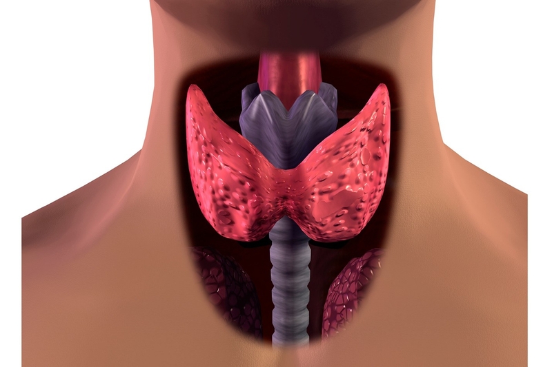 Tìm hiểu cách trị bướu cổ bằng nha đam-1